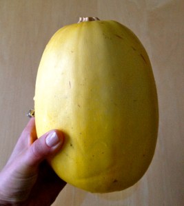 Spaghetti Squash